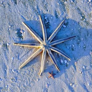 Meet your Posher, Paula